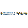 Bicerano and Associates Consulting